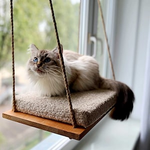 Mid century top modern cat house