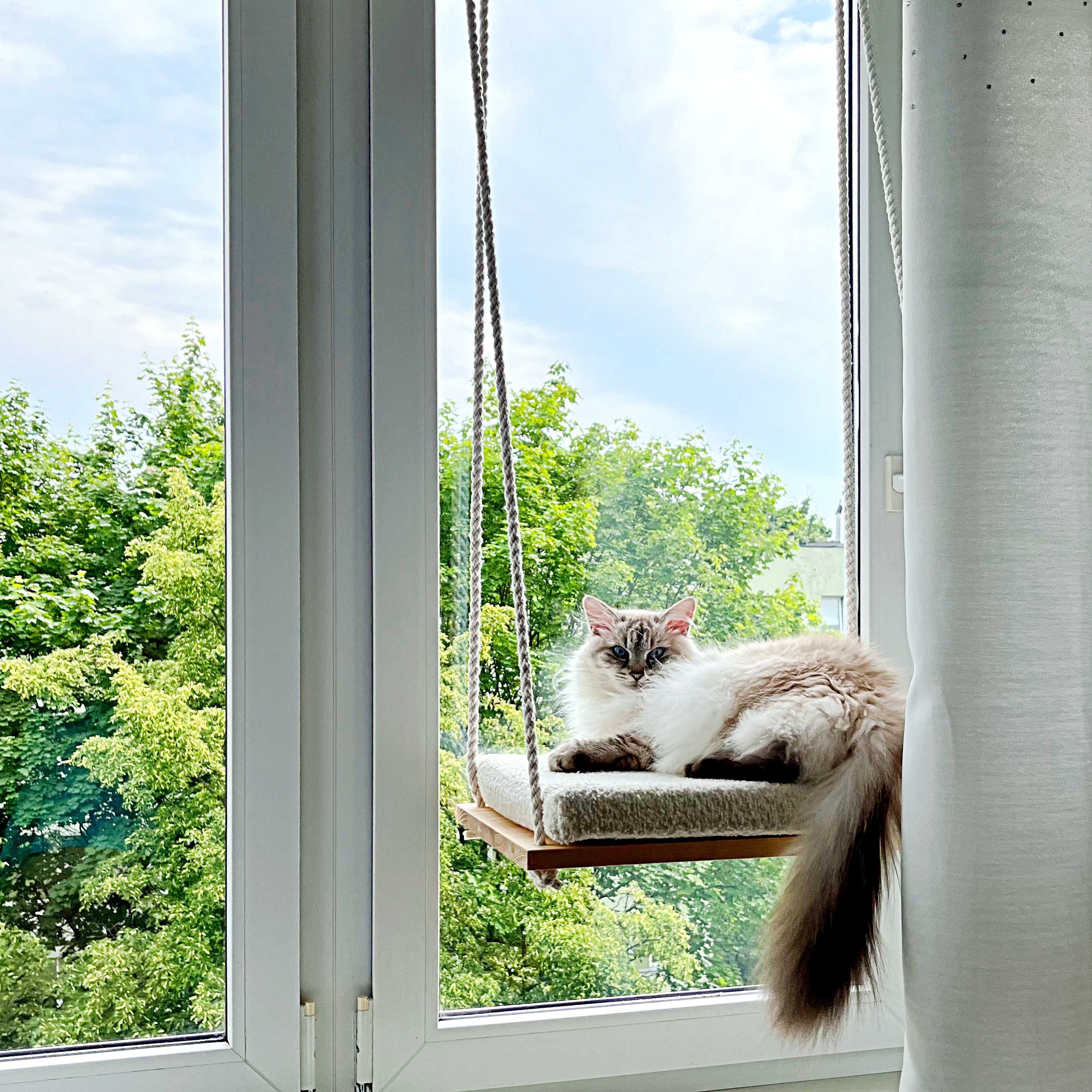 Soft Cat Window Perch, Cat Hammock, Bed, Wood Shelves, Minimalistic Pet Furniture
