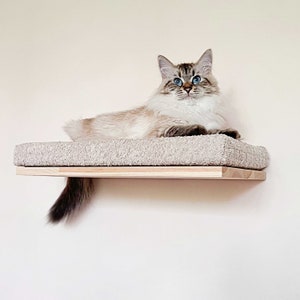 Cat shelves, 4 SIZES, 4 COLORS, Cappuccino cat bed, Cat wall furniture