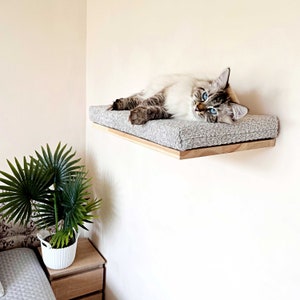 May include: A gray cat with blue eyes is lying on a gray and white cat bed. The cat bed is mounted on a wooden shelf.