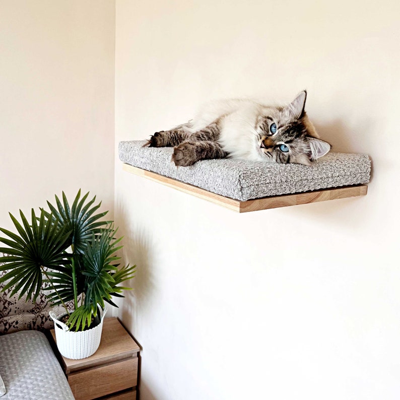 May include: A gray cat with blue eyes is lying on a gray and white cat bed. The cat bed is mounted on a wooden shelf.