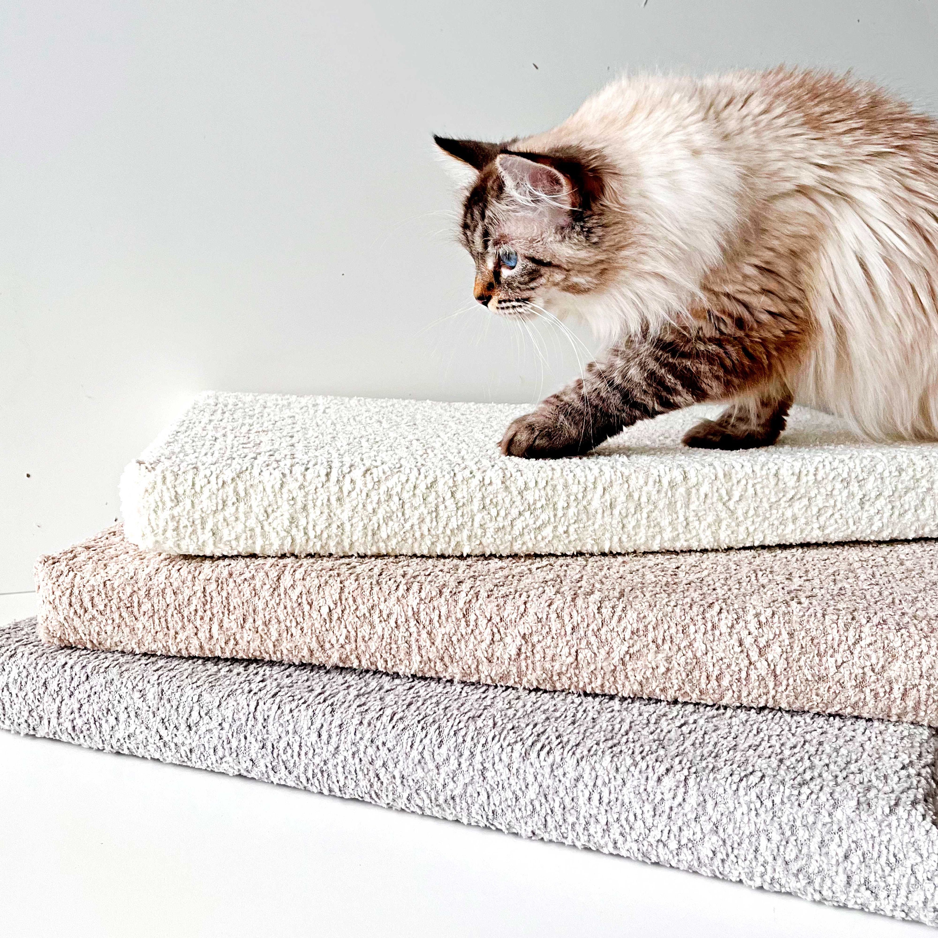 Soft Catnip Cat Bed, Cute Bed, Removable Catnip/Valerian, Fun Mats, Cat Play Mat
