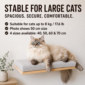 Soft Grey Cat Wall Shelf, Minimalist Wood Cat Bed image 4