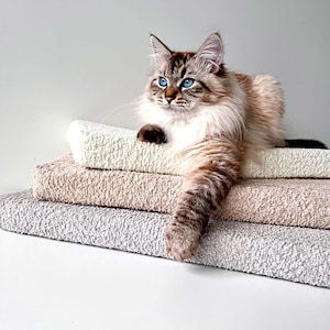 Cama suave para gatos con ventana, linda cama para gatos, colchón para perros y gatos