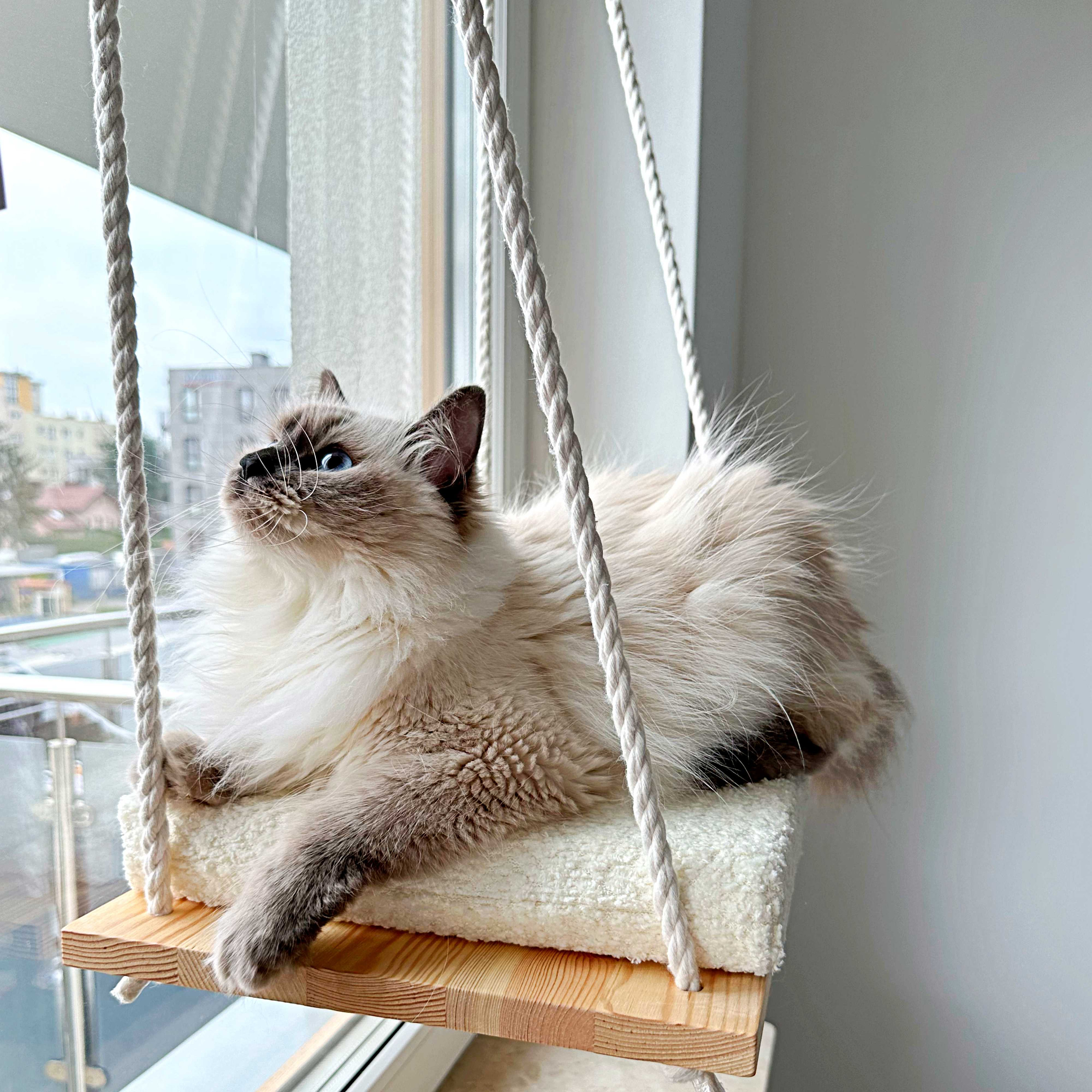 ♦️キャットウィンドウパーチ 木製キャットハンモック 窓用 屋内猫用 ネコ ねこ キャットウィンドウパーチ「ライトオーク」、キャットハンモック