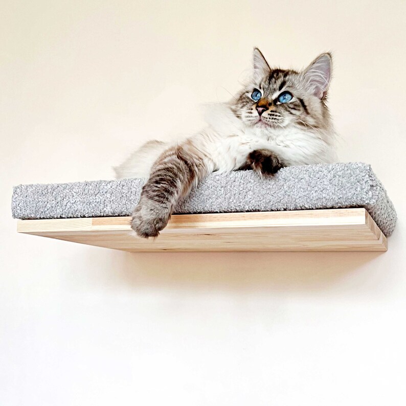 May include: A fluffy white and gray cat with blue eyes is lying on a gray cat bed. The cat bed is on a wooden shelf.