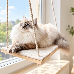 May include: A long-haired cat with blue eyes resting on a rectangular wooden platform suspended by thick beige ropes. The platform features a soft, light-coloured carpeted surface, providing a comfortable perch for the cat to lounge near a window.