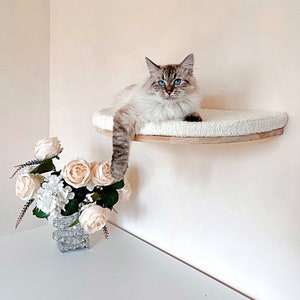 Beige cat wall shelf, Wood cat shelves, Cat bed, Minimalistic pet furniture