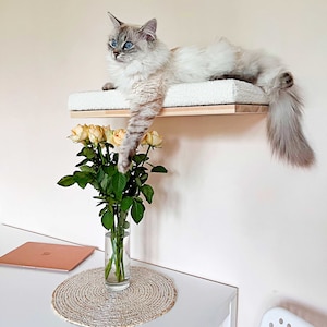 Cat shelves, 4 SIZES, 4 COLORS, Beige cat bed, Cat wall furniture