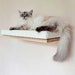 see more listings in the Cat tree section