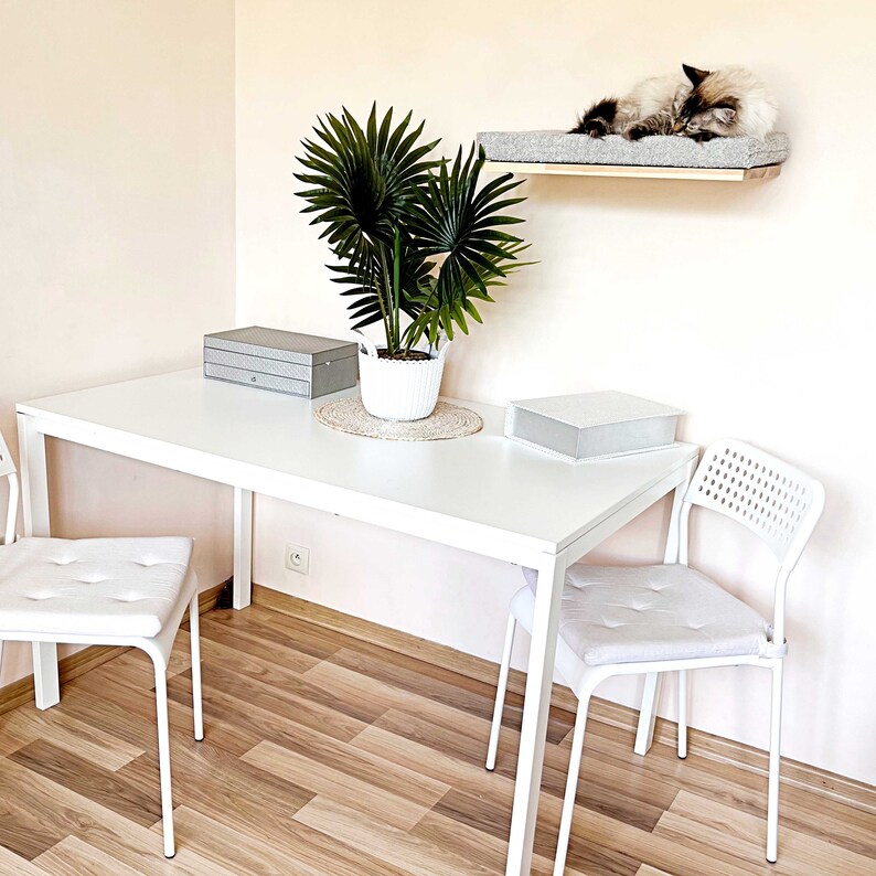 May include: A white table with two white chairs and a potted plant. The table has a white box and a gray box on it. A cat is sleeping on a gray shelf attached to the wall.