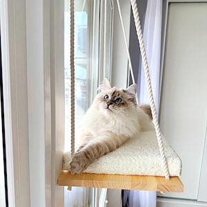 Perchoir de fenêtre pour chat, étagère pour chat, rebord de fenêtre, installation sans outil, clous nécessaires, cadeau de fête des mères pour les mamans chat