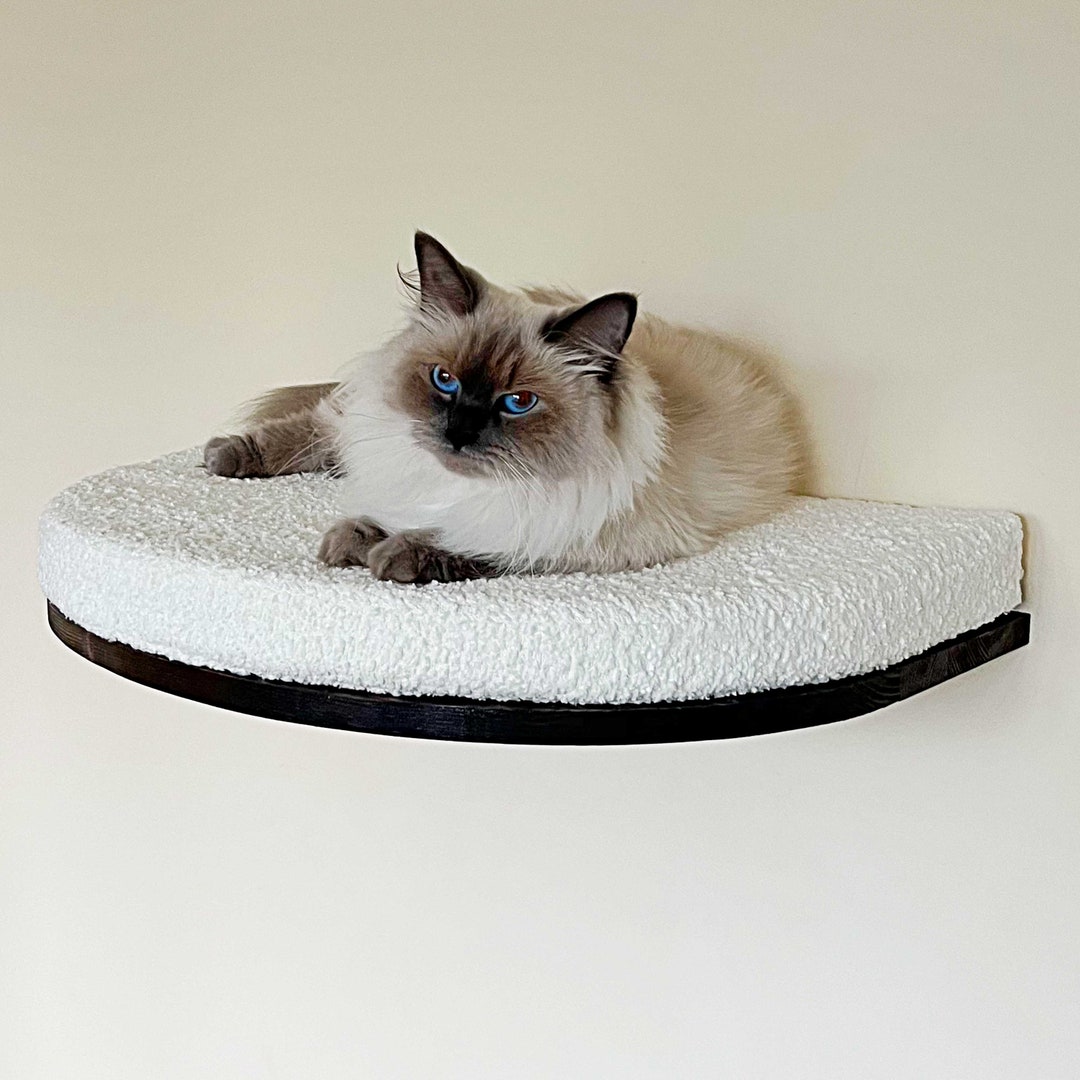 Cat Shelves, ITALIAN WALNUT, Cat Bed, Cat Wall Furniture Etsy
