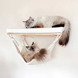 Cat shelves, 4 WOOD COLORS, Cat hammock, Cat bed, Cat wall furniture, 23.6'' (60cm)