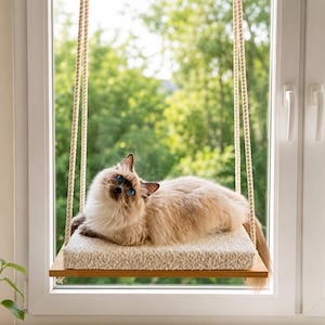 May include: A rectangular cat perch suspended by thick beige ropes in front of a window. The platform features a wooden base topped with a soft, cream-coloured textured cushion. A long-haired cat with blue eyes rests on the platform.
