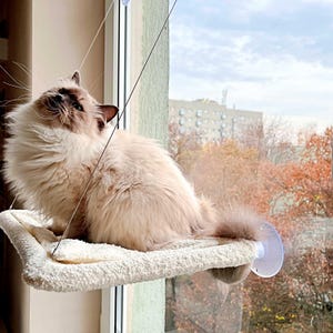 Cat Window Hammock Bed – Minimalist Cat Furniture with Suction Cups, Modern Cat Window Perch, Indoor Sunbathing Shelf