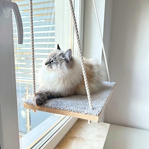 Könnte beinhalten: Eine helle, flauschige Katze liegt auf einer hölzernen Katzenfensterbank. Die Bank ist an weißen Seilen aufgehängt und hat eine graue, mit Teppich bedeckte Oberfläche. Die Katze hat blaue Augen und schaut aus dem Fenster.