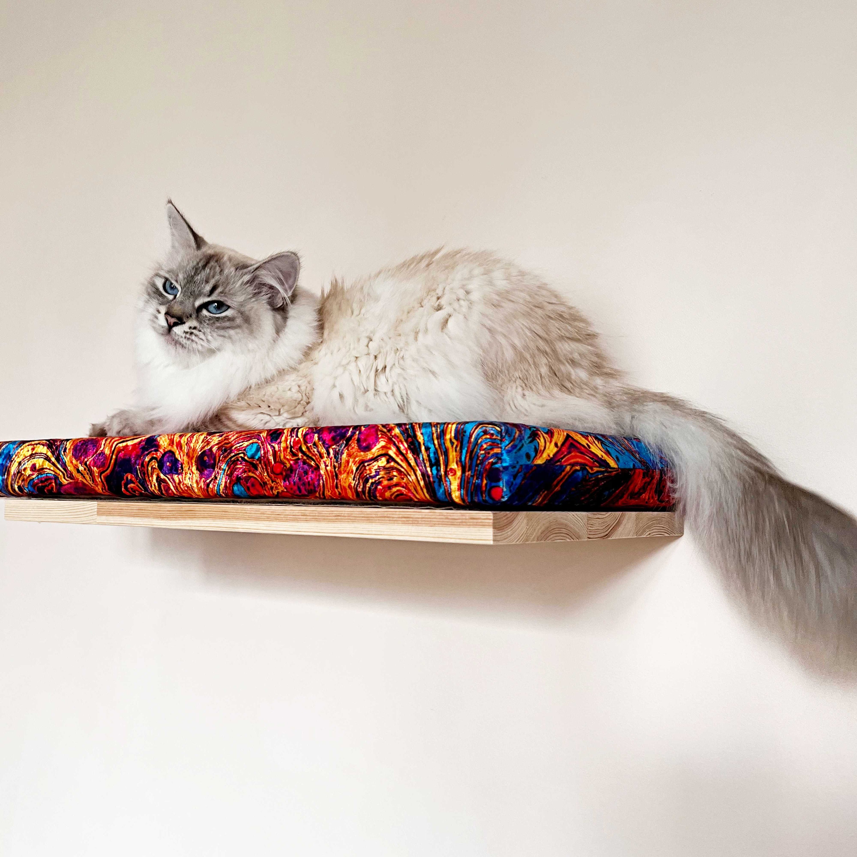Cat bed shelf online