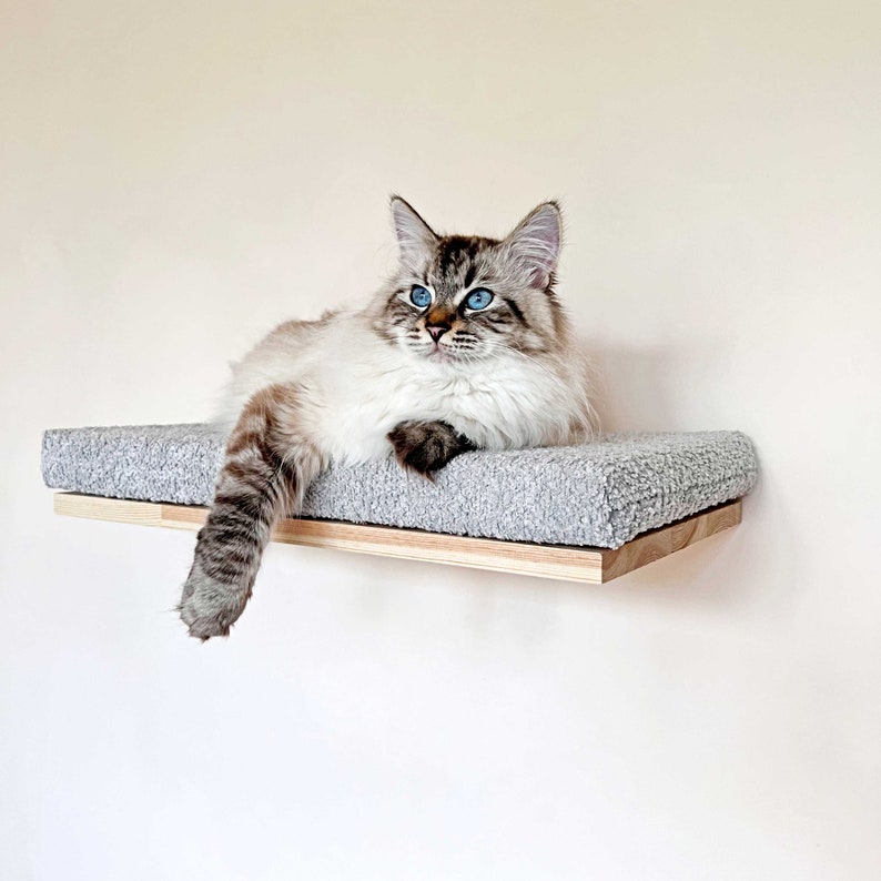 May include: A gray cat with blue eyes is lying on a gray cat bed attached to a wooden shelf. The cat bed is made of soft, fluffy material.
