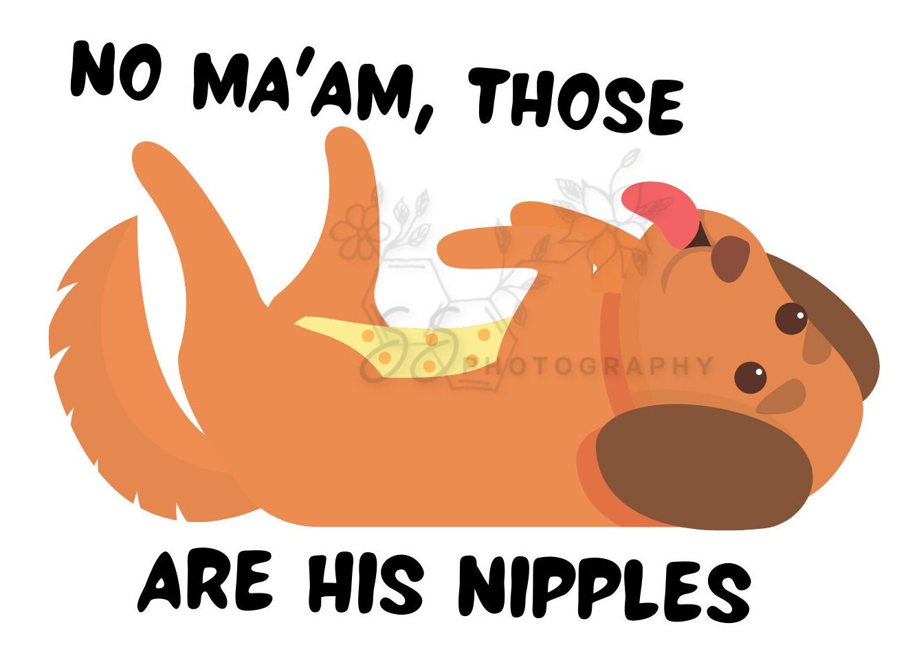 Funny Vet Med Quotes Sticker Sheet Vet Tech Stickers Vet Med Etsy