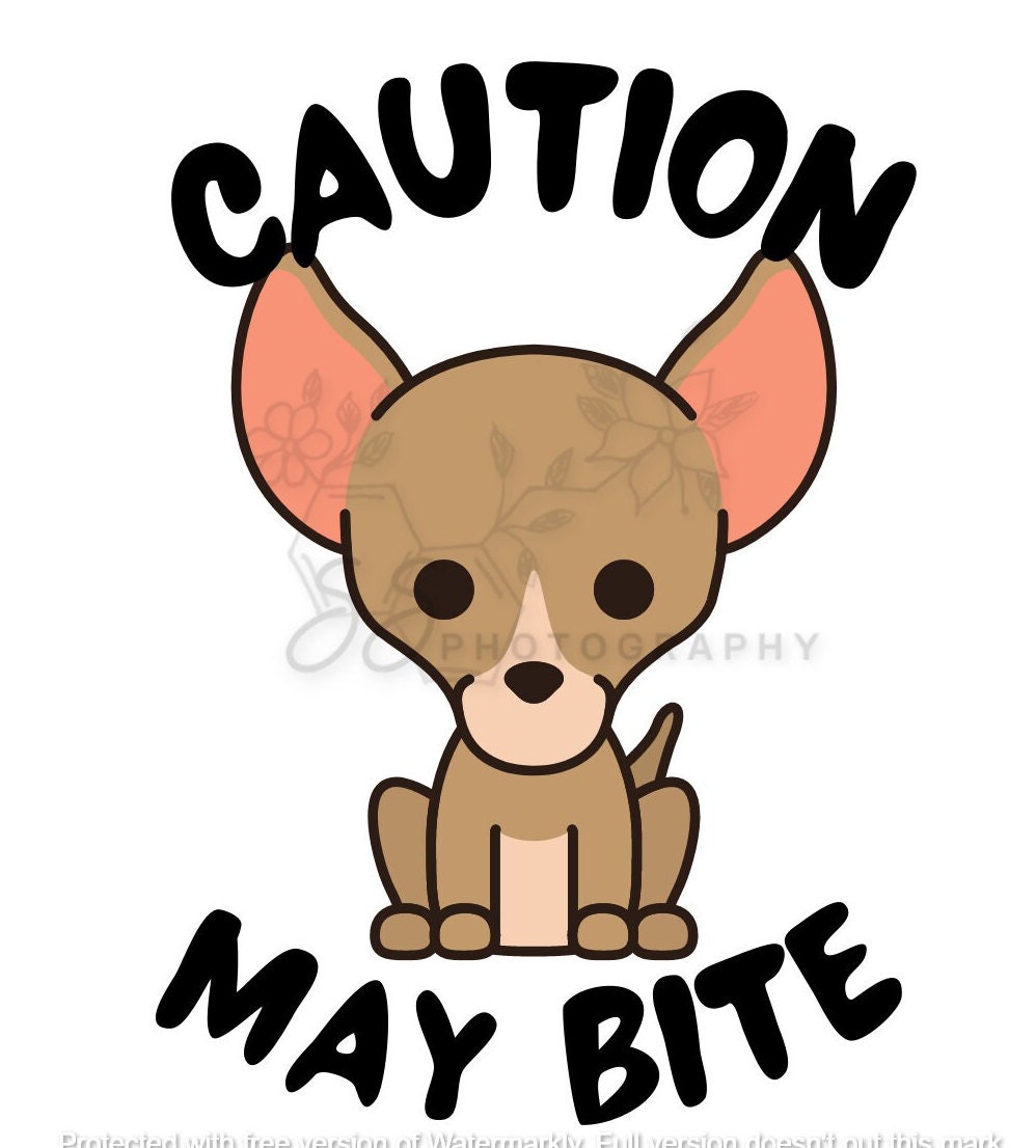 Funny Vet Med Quotes Sticker Sheet Vet Tech Stickers Vet Med Etsy