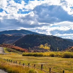 Beautiful Colorado Landscape, Landscape Photography, Nature Wall Art, Aspen Trees, Fall Landscape, Digital Photo Download, Print It Yourself