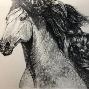Dapple Grey in Graphite