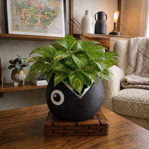 May include: A round, black, textured planter shaped like a character with a wide, open mouth and a large white eye. The planter holds a lush green pothos plant with variegated leaves and sits on a square, slatted wooden base on a table.