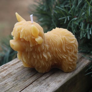 Vela de cera de abejas Honey the Highlander