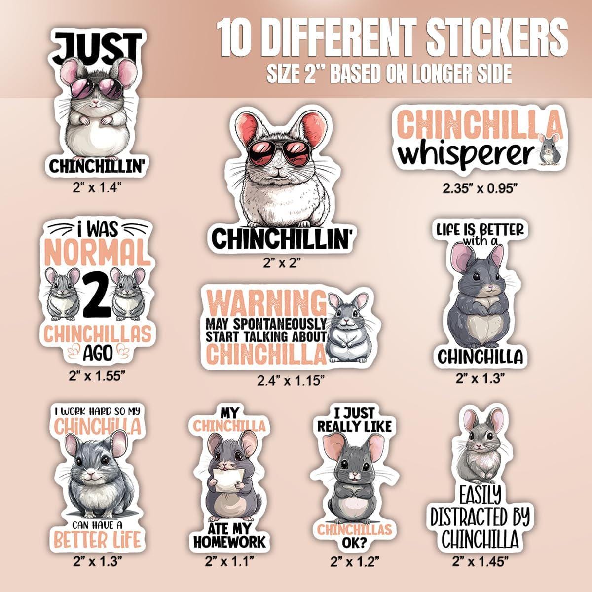 Funny Chinchilla Stickers Pack, Waterproof Vinyl Decals - Etsy