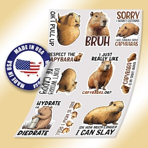 Op de afbeelding: Een vel stickers met capybara's, een groot knaagdier dat inheems is in Zuid-Amerika. De stickers hebben verschillende ontwerpen en zinnen, waaronder "OK I Pull Up", "Respect the Capybara", "I Just Really Like Capybaras", "Hydrate or Diedrate" en "This is How I Roll".