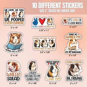 May include: Ten different sticker designs featuring guinea pigs. The stickers are 2 inches in size and feature various phrases and images, including "We came, we saw, we pooped everywhere", "Peace, love, guinea pig", "Guinea pigs make me happy", "Sorry my guinea pig ate my homework", "Wheek! Wheek! Means I love you", "Easily distracted by guinea pigs", "Furry potato", "The original emotional support animal", and "Wheek! Squad".