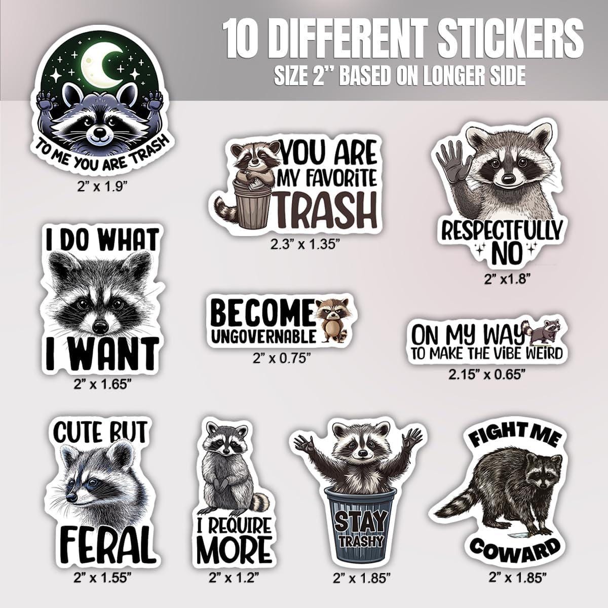 Shoe Rack Raccoon Sticker 10pcs Raccoon Stickers Pack, Cute Raccoon, Creative Raccoon, Clever ...