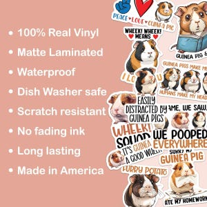 May include: A set of 10 vinyl stickers featuring cute guinea pigs with funny sayings. The stickers are waterproof, dishwasher safe, and scratch resistant. They are made in America and feature bright colors and bold text.
