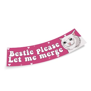 Bestie Please Let Me Merge Bumper Sticker, Funny Bumper Sticker, Silly Goose Fan Club, Car Window Stickers, Size 11in x 3in