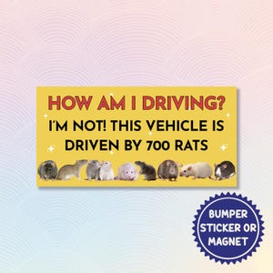 How’s My Driving I’m Not This Vehicle Is Driven by 700 Rats Magnetic/Bumper Sticker, Rat-Powered Car Joke, Hilarious Vehicle Magnet/Sticker