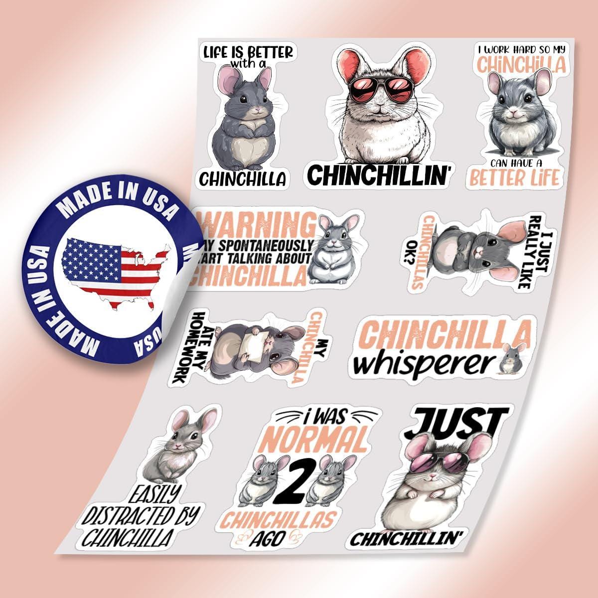 Funny Chinchilla Stickers Pack, Waterproof Vinyl Decals - Etsy