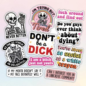 10pcs Sarcastic Stickers Pack, Witty sarcastic Decal, Sarcasm Pun Sticker, Offensive Quote Sticker, Sassy Sarcastic Sticker, Sarcasm Sticker