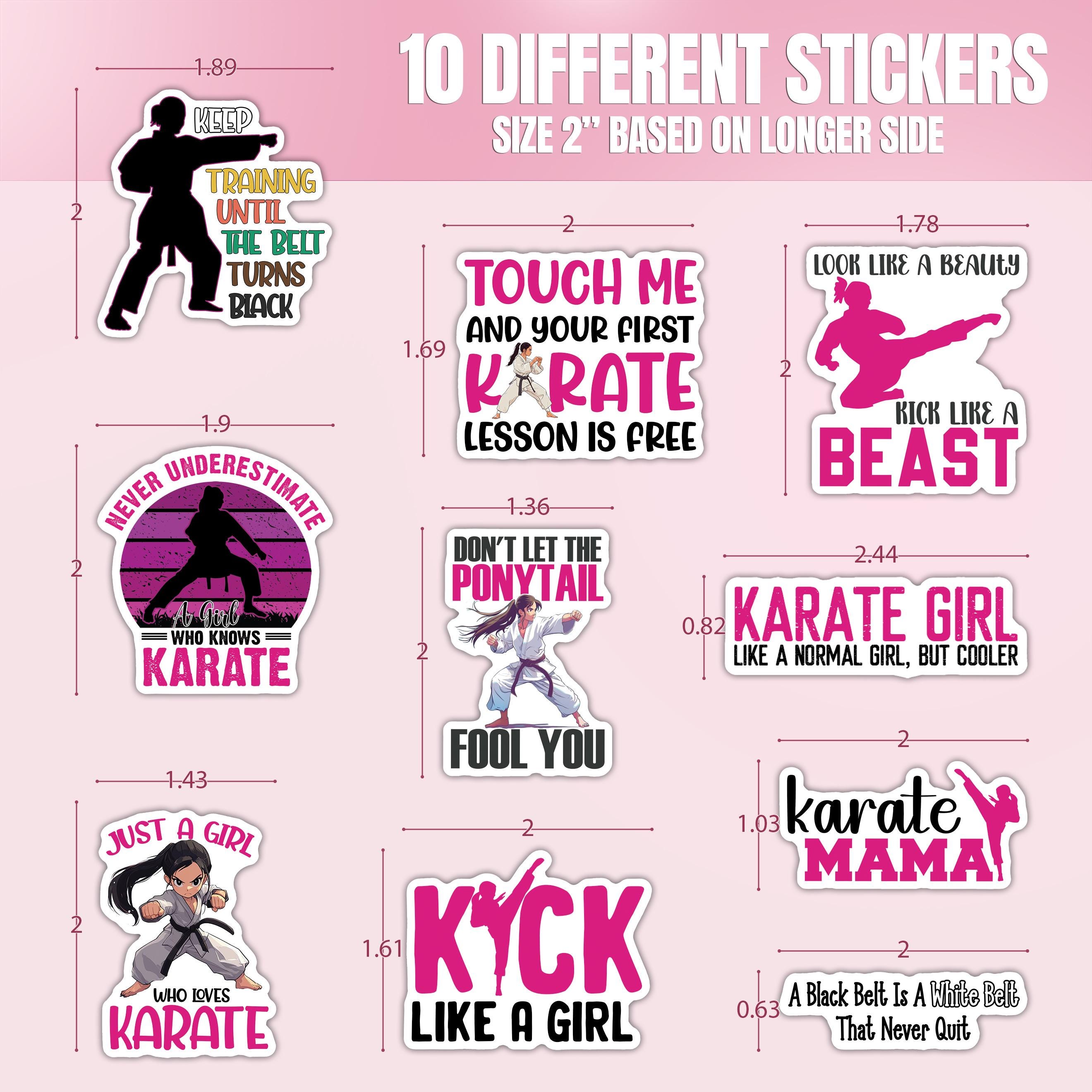 10pcs Karate Stickers Pack, Karate Power Stickers, Karate Fighter ...