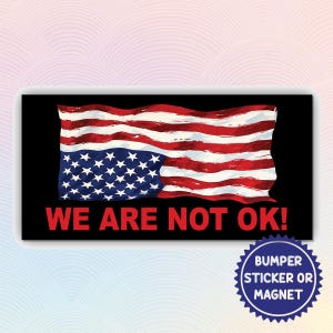 America Is In Distress - We Are Not OK, Upside Down US Flag Distress Flag, Political Liberal Democrat, Political Activism, Resist Oppression