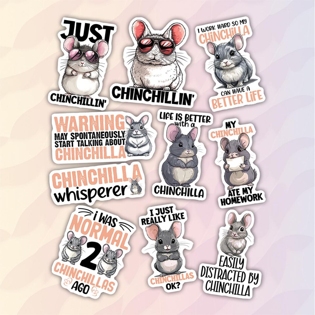 Funny Chinchilla Stickers Pack, Waterproof Vinyl Decals - Etsy