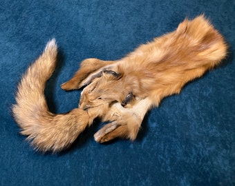 Professionally Tanned Red Fox Pelt