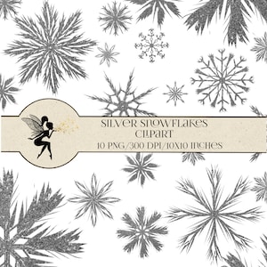 Snowflakes clipart, Silver Glitter Snowflakes overlay, Christmas and Winter clipart, Silver snowflakes, PNG Snowflakes, Instant Download