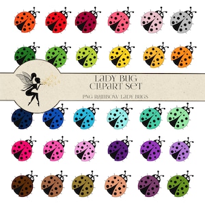 Rainbow Ladybugs Clipart Set, Red Lady Bug Clipart, Download istantaneo, Pacchetto PNG coccinella, Bug PNG, Uso commerciale, Cute Ladybug PNG