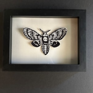 May include: A black and white embroidered moth with a skull-like pattern on its wings is framed in a black frame.