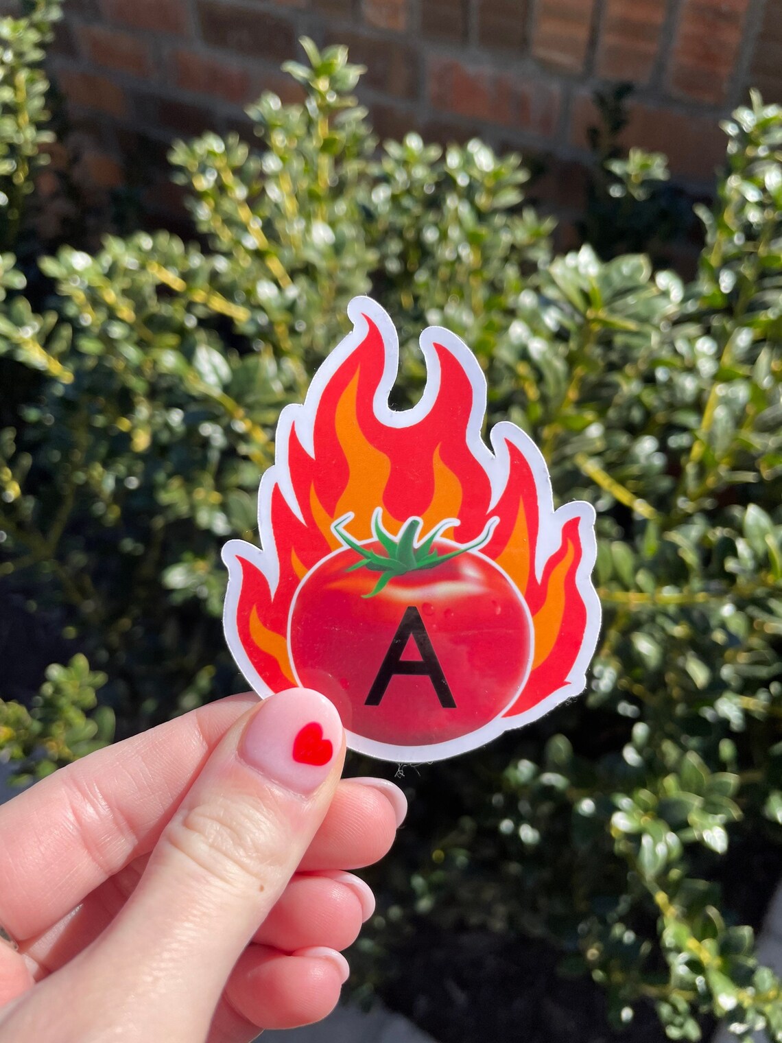 ATOMATOFLAMES Aviation Acronym Sticker A TOMATO FLAMES Etsy