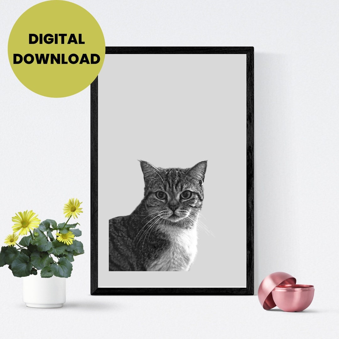 Wall Art Cat, Printable Wall Art, Black White Cat Print, Nursery Wall ...