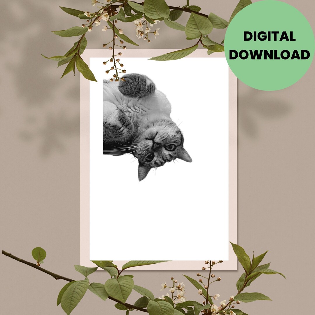 Printable Wall Art Cat, Cute Cat, Black and White Cat, Upside Down Cat ...