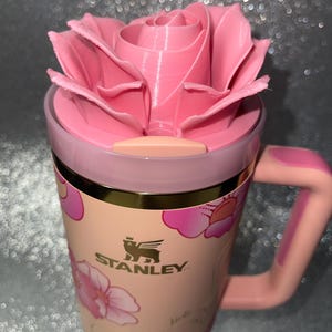 Stanley 40 Oz Peaches and Cream - Etsy