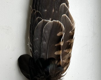 Incense fan "play of colours", feather fan, shamanic tool